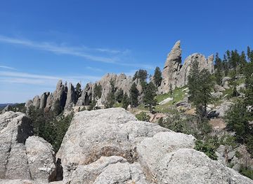south-dakota/needles-highway/bar/needles-highway