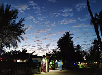 madagascar/atsimo-andrefana/bar/tam-tam-cafe