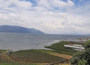 honduras/lago-de-yojoa/bar/ranchito-mariel