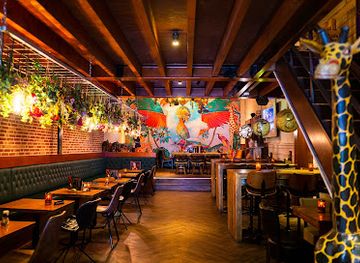 netherlands/zeeland/bar/zanzibar