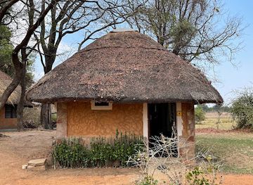 zambia/south-luangwa-national-park/bar/wildlife-camp