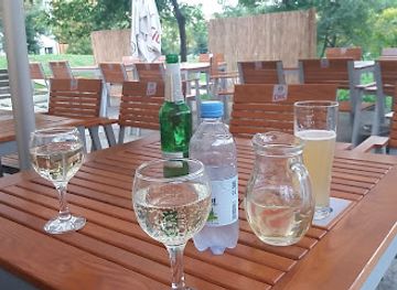 romania/salaj/bar/lotus