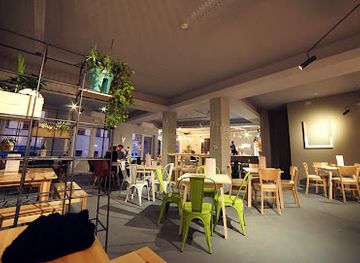 romania/satu-mare/bar/moose