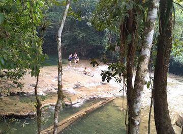 mexico/lacandon-jungle/bar/reserva-de-la-biosfera-montes-azules