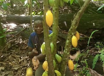 cote-d-ivoire/montagnes/bar/master-s-night-club