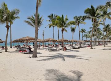 oman/salalah-coastal-plain/bar/coco-shack-beach-bar