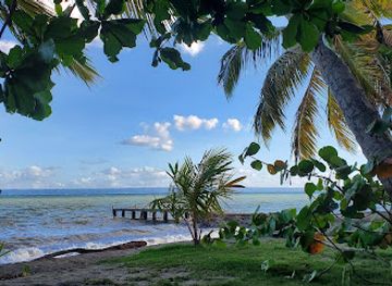 dominican-republic/los-haitises/bar/amilka-tours