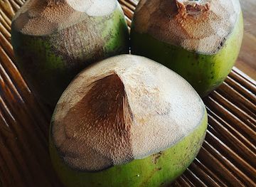 guatemala/rio-dulce/bar/discoteca-dulce-club