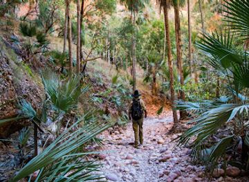 australia/the-kimberley/bar/bungle-bungle-guided-tours-kimberley-air-and-walking-tours