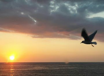 ireland/causeway-coastal-route/bar/the-coast-inn