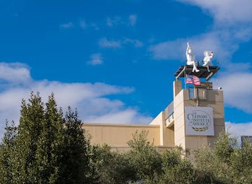 california/wine-country/bar/wine-bar-at-copia