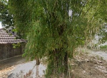 indonesia/pulau-moyo/bar/aurora-karaoke