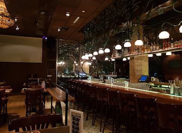 israel/haifa/carmel-center/bar/salik-bar-merkaz-hacarmel