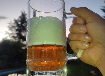 chile/biobio-region/bar/cervezas-svajg