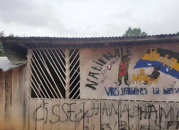 gabon/ogooue-lolo-province/bar/nationale-bar