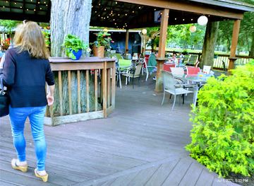 west-virginia/coopers-rock-state-forest/bar/tropics