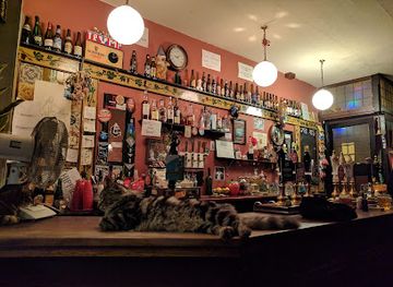 united-kingdom/bristol/bar/bag-of-nails