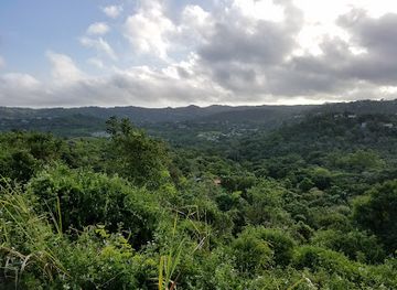 puerto-rico/sierra-de-cayey/bar/el-quenepo-sport-bar
