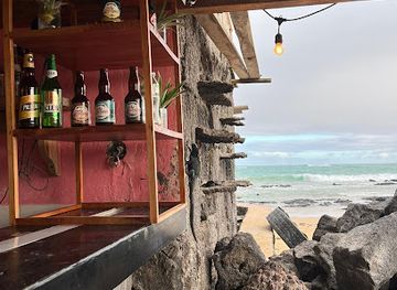 ecuador/northwest-coast/bar/pink-iguana-bar