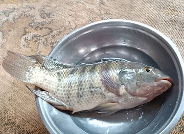 libya/tadrart-acacus/bar/matam-tasili