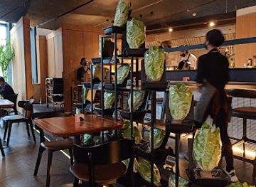 indonesia/highlands-papua/bar/hiyoko