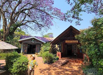 eswatini/malkerns-valley/bar/swazi-candles