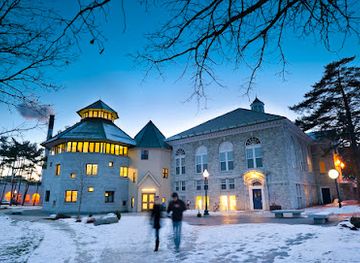 vermont/middlebury/bar/the-grille