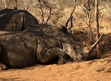 eswatini/hlane-royal-national-park/bar/hlane-national-park-activities-center