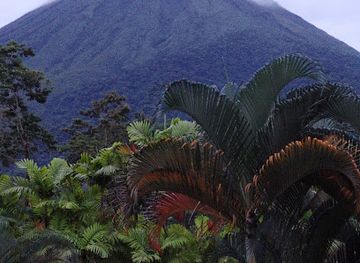 costa-rica/arenal-volcano-national-park/bar/magic-sport-bar-magic-mountain-hotel