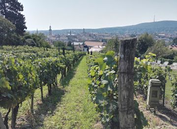 hungary/sopron-wine-region/bar/prinyo-borozo