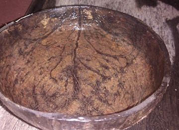 sri-lanka/sigiriya/bar/gamigedara