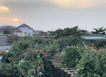 saudi-arabia/asir/bar/