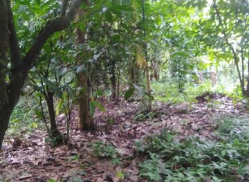 sri-lanka/matale-district/bar/ragu