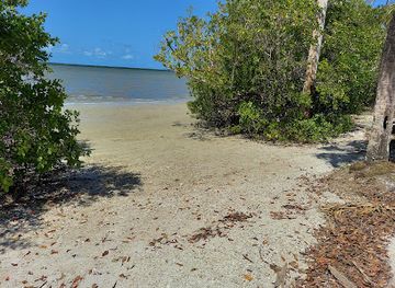 florida/big-cypress-national-preserve/bar/island-cafe