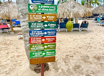 dominican-republic/bayahibe/bar/bar-maloo