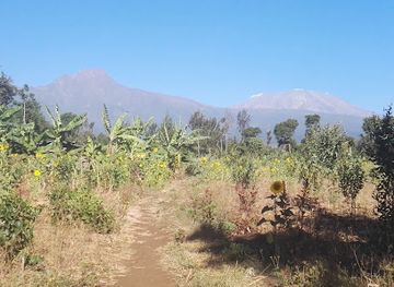 tanzania/mahale-mountains/bar/mile-6