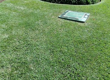 barbados/animal-flower-cave/bar/leslie-s-bar