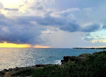 jamaica/north-coast/bar/bar