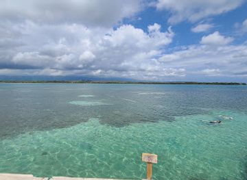 jamaica/yallahs-valley/bar/floyd-s-pelican-bar