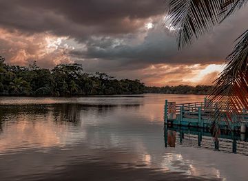 belize/coastal-plains/bar/manatee-lookout-restaurant-bar