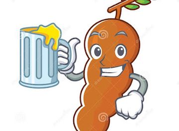 costa-rica/rincon-de-la-vieja-national-park/bar/clan-los-tamarindos