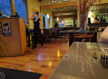 Spotted Dog