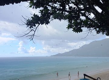 seychelles/ile-aux-serpents/bar/coral-asia