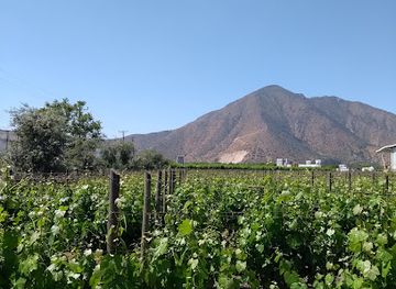 chile/aconcagua-valley/bar/vina-terramater
