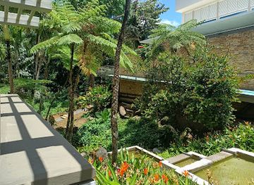 puerto-rico/yunque-national-forest/bar/the-portal-rainforest-cafe