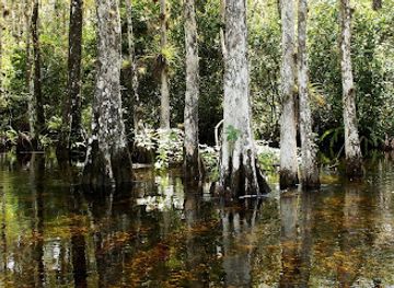 florida/big-cypress-national-preserve/bar/big-cypress-distillery
