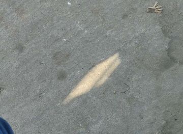 india/western-ghats/bar/crystal-bar