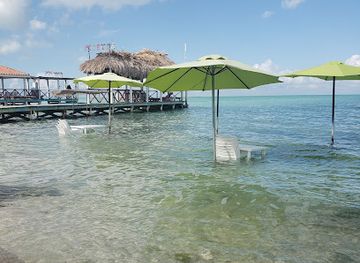 belize/lighthouse-reef-atoll/bar/maruba-beach-klub