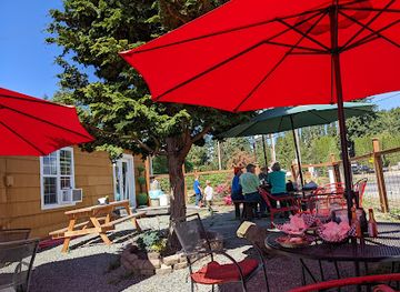 washington/deception-pass-state-park/bar/the-oyster-shuckers