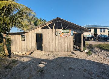belize/cayo-district/bar/amigos-bar